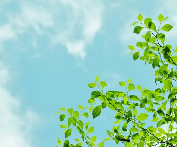 札幌の南平岸にある山口整形外科クリニック。豊富な手術実績と豊富な臨床経験あり。リウマチ・スポーツ医学の専門医。最新機器導入しマッサージによる充実のリハビリで、お子様からご高齢の方まで幅広いお悩みに対応します